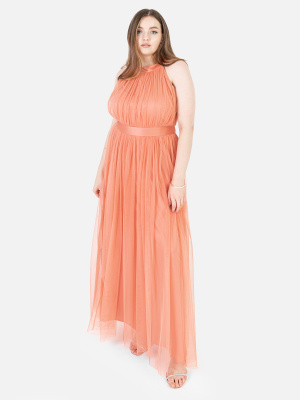 Anaya with Love Recycled Coral Halter Neck Maxi Dress - PLUS SIZE Wholesale Pack