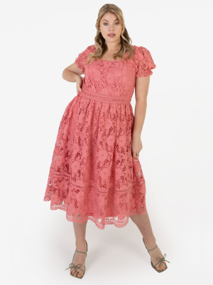 Lovedrobe Luxe Coral Crochet Lace Midi Dress - Wholesale Pack 