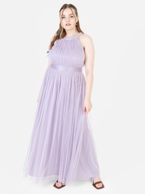 Anaya With Love Recycled Dusty Lilac Halter Neck Maxi Dress - PLUS SIZE Wholesale Pack