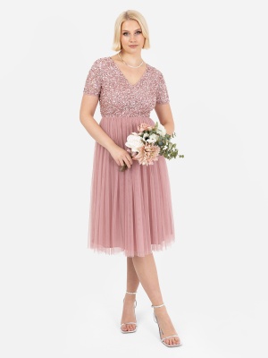 Maya Dusty Pink V Neckline Embellished Midi Dress - STRAIGHT SIZE Wholesale Pack