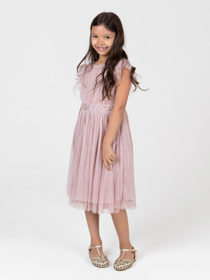 Mini Maya Frosted Pink Midi Dress with Frill Sleeves and Embellished Waist - Wholesale Pack